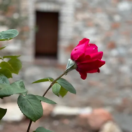 Casa De La Serra